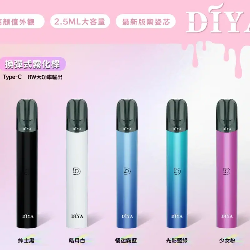 DIYA一代叮啞主機